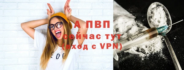 индика Киреевск