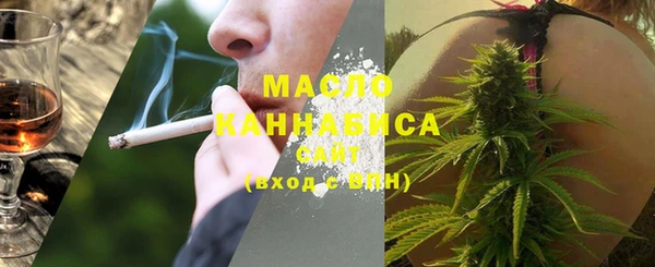 индика Киреевск